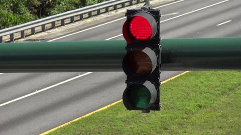 キツネの動画（飛行機）